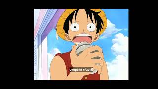 Usopp no aho....!