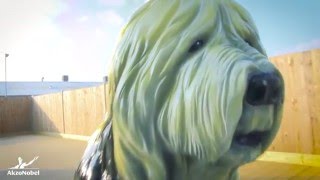 AkzoNobel’s pioneering skills academy opens its doors screenshot 1