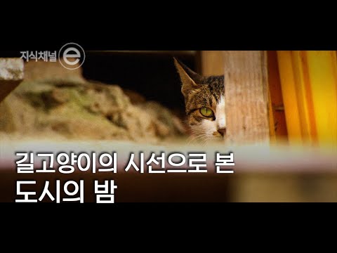 지식채널e - 살아남아