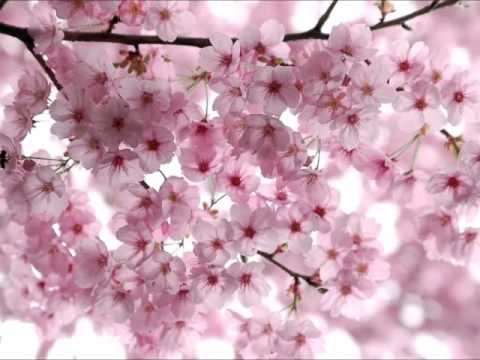 明日、春が来たら