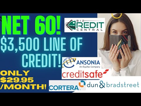 $3,500 Business Line of Credit! Net 60! #bizcreditcentral #businesscredit #Net30vendor #credit