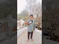 Medume kabutar #ghar kapattha #Rageen kabutar #pigeon