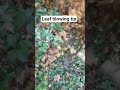 leaf blowing tip