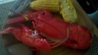 20100712 justin lobster.MP4