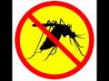 anti mosquito Sound