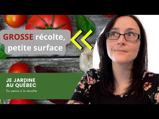 Voici comment maximiser vos cultures facilement !