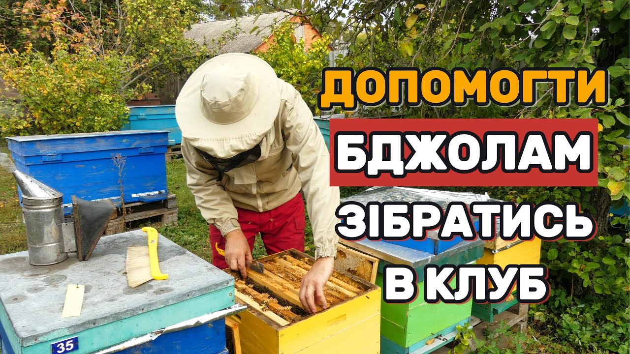 Коли сформувати гніздо бджіл на зиму, і як