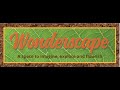 Wonderscape