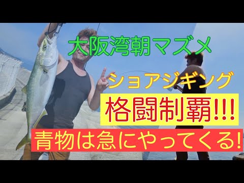 [ショアジギング]この方法で青物制覇できたよ！[釣り]