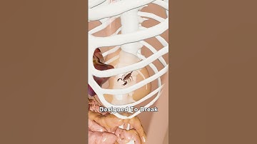 What Happens If You Swallow the World