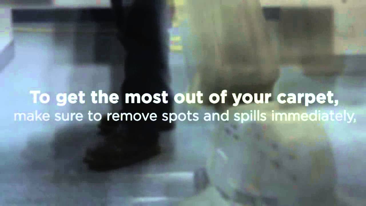 Brooklyn, NY Carpet Cleaning How to Extend the Life of Carpet in Your