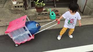 Baby carrying food in cart | キャリーカートを引く赤ちゃん。