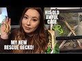 I Rescued A Crested Gecko! His Enclosure Was Awful + Floppy Tail Syndrome