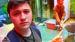 Flying A Drone In A Hotel Vlog