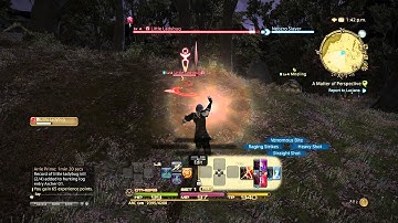 Final Fantasy XIV A Realm Reborn PS4 - Archer random gameplay 02