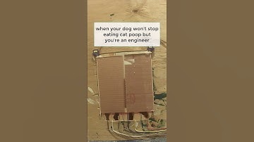 Dog vs automatic pet door #arduino