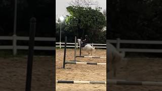 It’s been 1 year since my last fall so🙃#equestrianjourney #equestrian #viral #forupage #horse #fail