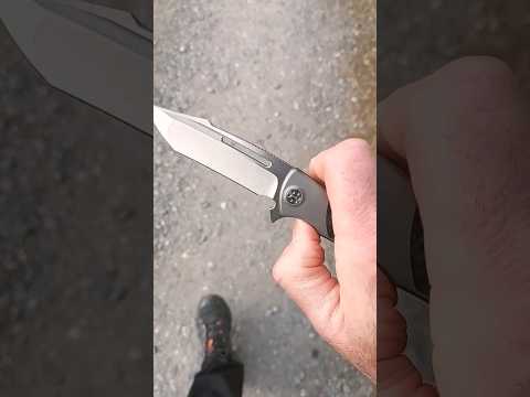 Walk 'N Flick: SBD Mini Evo