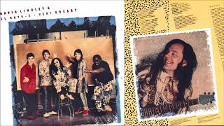 Celebrity David Lindley & El Rayo X - I just can't work no longer Profile