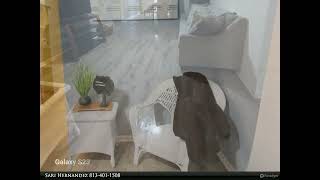 Homes for Sale - 2619 E 113TH AVENUE, TAMPA, FL