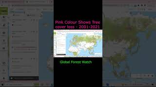 Global Forest Watch:Tree cover loss - 2001-2021