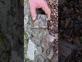 This stone is very interesting. #quartz #stones #crystals #kuvars