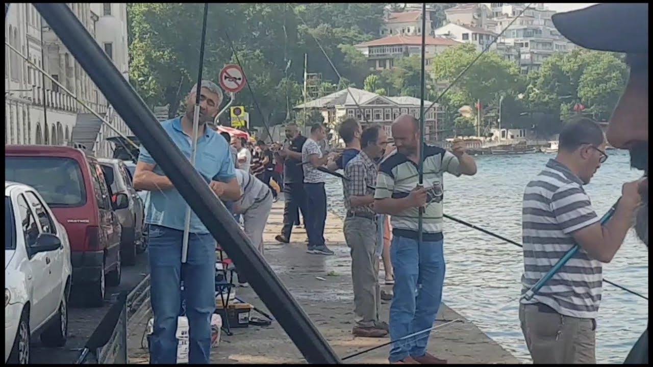 İSTANBUL KULELİ ' DE BALIK ÇOSTU !! ANLIK BALIK BİLGİSİ 22 HAZİRAN 2019 BALIK AVI