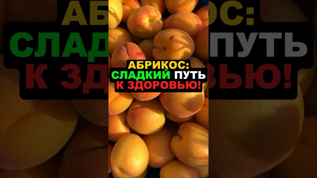 Абрикос: сладкий путь к здоровью! 