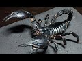 This giant 3D scorpion specimen is seriously so cool, it's insane