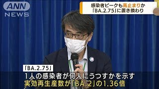 新型コロナ「第7波」「BA.2.75」に換わり高止まりか(2022年8月4日)