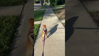 On the hunt for 🐿️ On the hunt for 🐿️