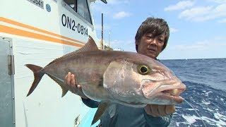 【いつでも釣り気分！】#228 宮古島の泳がせ釣り 電動パワーゲームの真髄