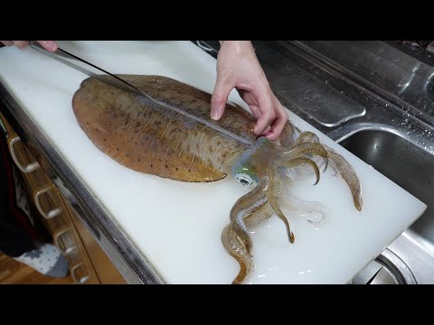 [How to make live Sashimi] Cleaned a live Oval Squids and made Sashimi! Crystal clear slices!?