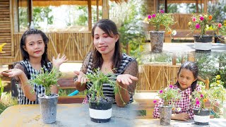 How to Making Colorful Flowers Pots (moss rose) for Small Garden and balcony, plants decoration