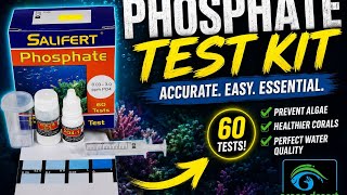 How to Test Phosphate in a Reef Tank (Stop Algae Before It Starts!)