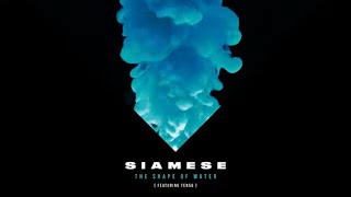 Siamese  The Shape of Water feat. ten56. (Official Visualizer)