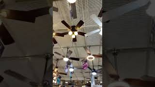 Ceiling fans at lowes