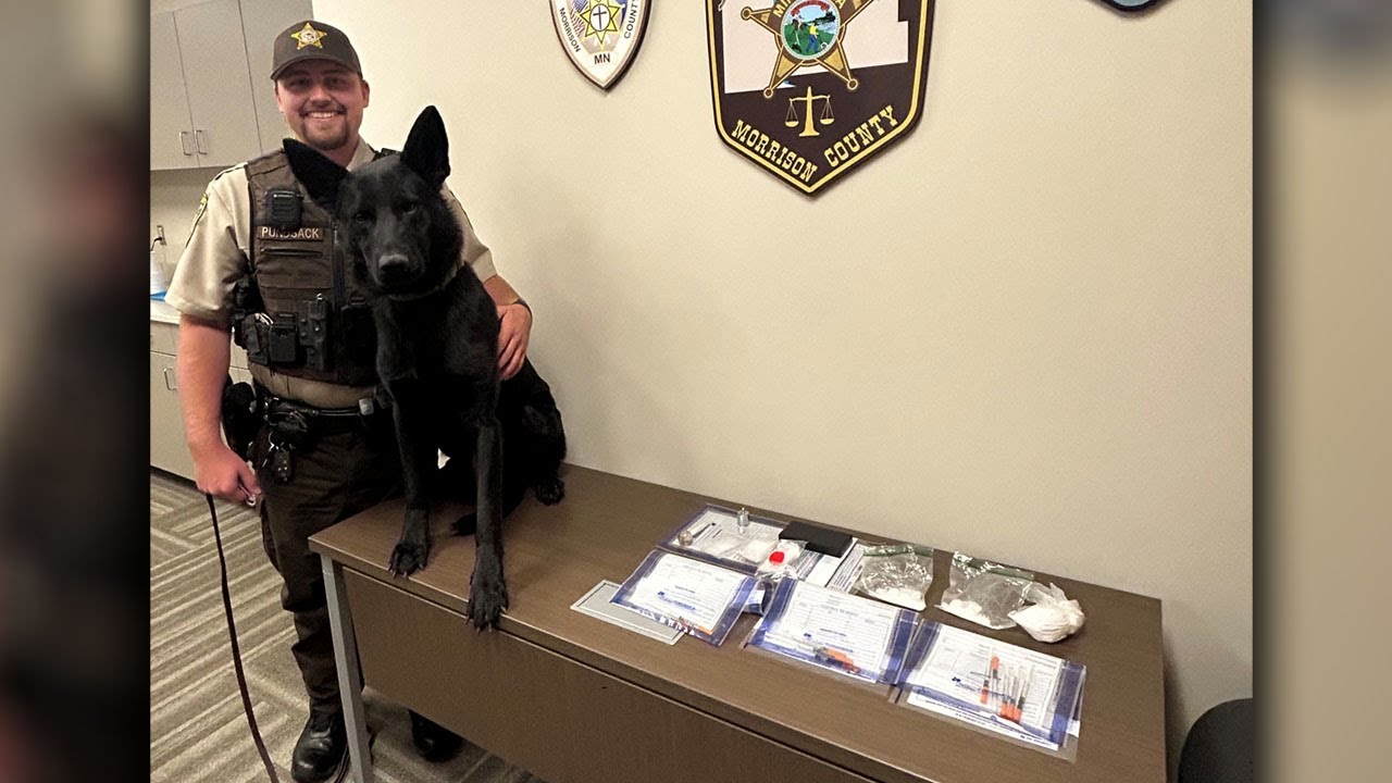 Deputy and K-9 Credited with Meth Arrest in Morrison County | Lakeland News