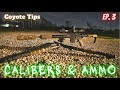 Calibers and Ammo For Coyote Hunting | Coyote Hunting Tips -  Ep. 3