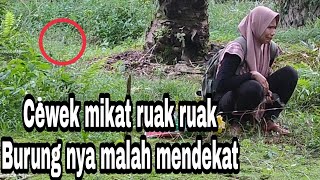 SERUU !! CEWEK MIKAT BURUNG RUAK RUAK, MALAH DIDEKATI SAMA BURUNG RUAK RUAK