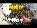 バス釣りでゴミ拾いしたら神様は居た！【琵琶湖】