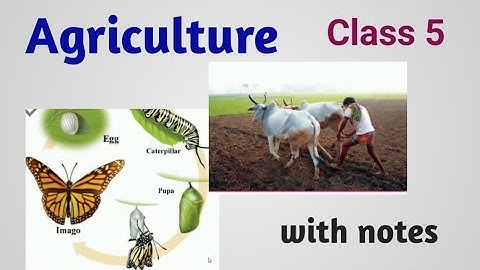 Agriculture-class-5--Enviromental science-with complete explanation and notes.