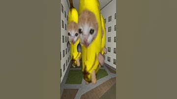BANANA CAT??? Nextbot Gmod