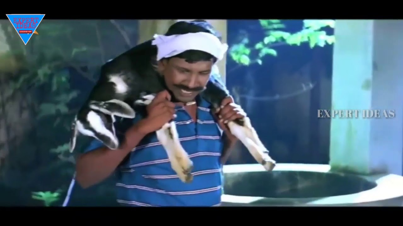 Soona paana Vadivelu comedy Scene