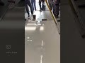 MFC TERRAZZO posadzki dekoracyjne