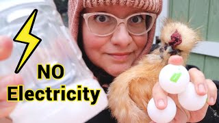 STOP Your Chickens’ Water from FREEZING with These Weird Hacks! 🐔🥶💯