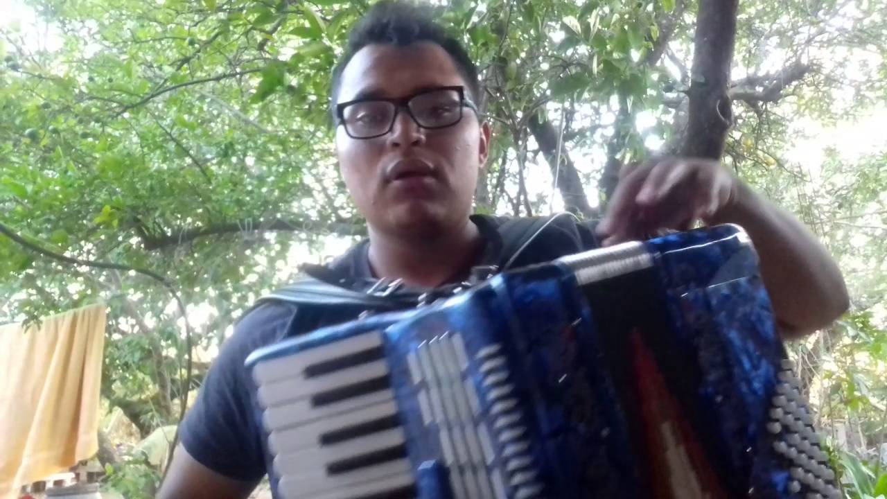 Acordeon de Teclas Escala de Do Principiantes