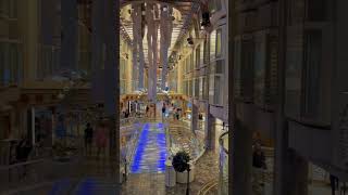 IMG 4869