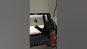 Evolved Glove Unity