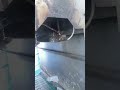 Lacre passando dentro da fornalha para ser salada 🔥🔥